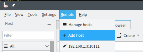 add remote host